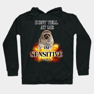 dont yell at me im sensitive (i will cry) Hoodie